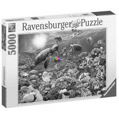 Puzzle - Korallztony, 5000 db