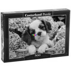 Puzzle - Kutya klyk rzsaszn virgokkal, 500 db