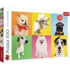 Puzzle - Kutyk, 500 db