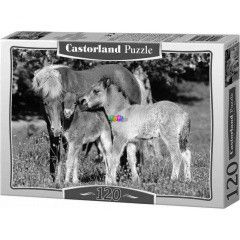Puzzle - L csikjval s csacsival, 120 db