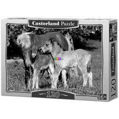 Puzzle - Lovak, 120 db