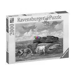 Puzzle - Lovak a parkban, 2000 db