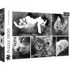 Puzzle - Macskadolgok kollzs,1500 db