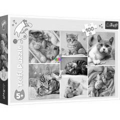 Puzzle - Macskk, 100 db
