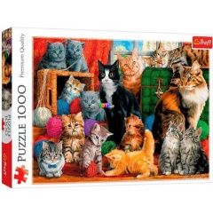 Puzzle - Macskatalálkozó, 1000 db