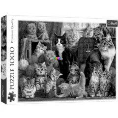 Puzzle - Macskatallkoz, 1000 db