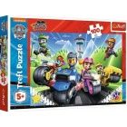 Puzzle - Mancs rjrat - Kutyik jrgnyokkal, 100 db