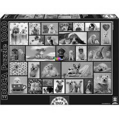 Puzzle - Megosztott pillanatok, 1000 db