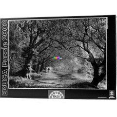Puzzle - Mindrkk sz, 2000 db