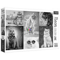Puzzle - Neon Color Line - Macskk, 1000 db