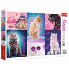 Puzzle - Neon Color Line - Macskk, 1000 db