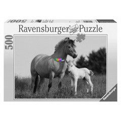 Puzzle - Norvg Kanca s Csikja 500 db