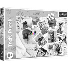 Puzzle - Nyaral kutyk, 300 db