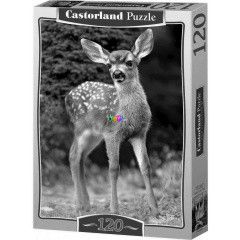 Puzzle - zgida, 120 db
