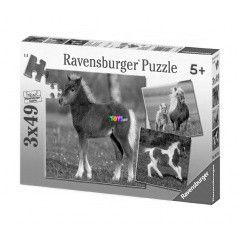 Puzzle - Pony 3x49 db