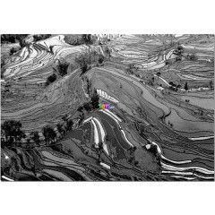 Puzzle - Rizsfldek, 1000 db