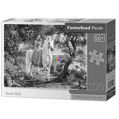 Puzzle - Secret Trail, 100 db