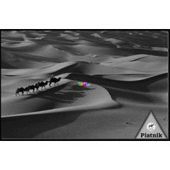 Puzzle - Sivatag  1000 db
