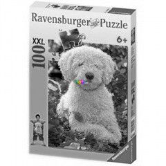 Puzzle - Spanyol vizikutya, 100 db