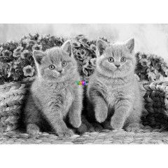 Puzzle - Szrke cicaklykk, 120 db