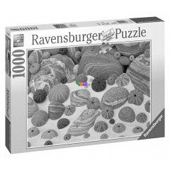 Puzzle - Tengeri kagylk, 1000 db