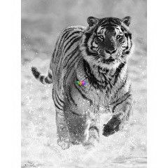 Puzzle - Tigris, 500 db