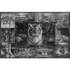 Puzzle - Tigris, 5000 db