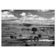 Puzzle - Tsavo nemzeti park, Kenya, 500 db