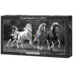 Puzzle - Vgtra szlettek, 4000 db