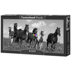 Puzzle - Vgtz telivrek, 4000 db