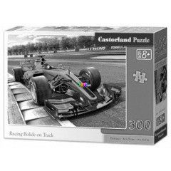 Puzzle - Versenyzs a plyn, 300 db
