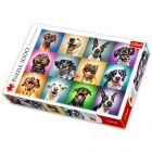 Puzzle - Vicces kutyk, 1000 db
