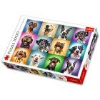 Puzzle - Vicces kutyák, 1000 db