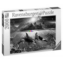 Puzzle - Vz alatti vilg, 2000 db