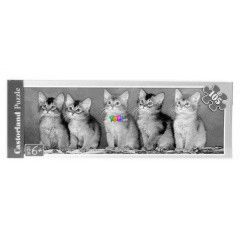 Puzzle - Vrs cicaklykk, 105 db