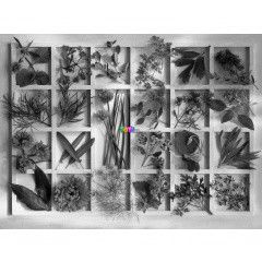 Puzzle - Zldfszerek, 1500 db