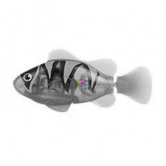 RoboFish a robothal - tltsz, narancssrga hal