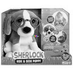 Scherlock bjcskz kiskutya