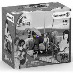 Schleich Horse Club - Moshely, Emily s Luna