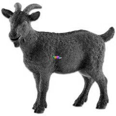 Schleich - Kecske figura