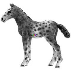 Schleich - Knabstrupper csik figura