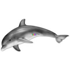Schleich - Palackorr delfin figura