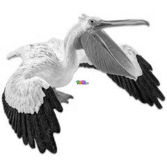 Schleich - Pelikn figura