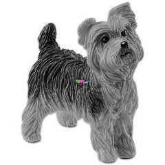 Schleich - Yorkshire terrier figura