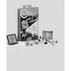 Sealife - Gipsznt kszlet A/4