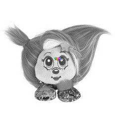Shnooks - Csoda szrmkok 2011, Zizzaboo