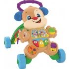 Fisher-Price - Tanul kutyusos jrssegt