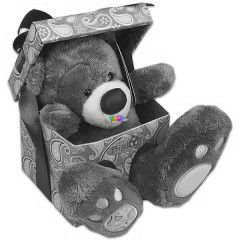 Teddy maci plssfigura dobozban, 15 cm