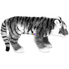 Tigris plss - 55 cm