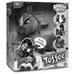 Toffee, az interaktv pni